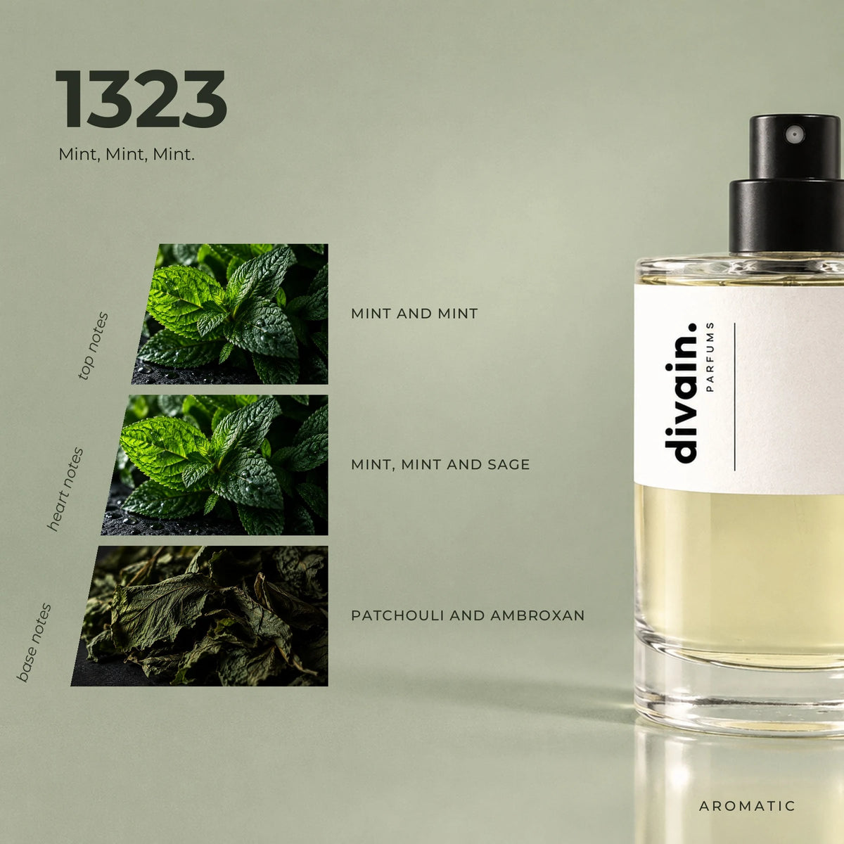 divain.1323 fragrance pyramid