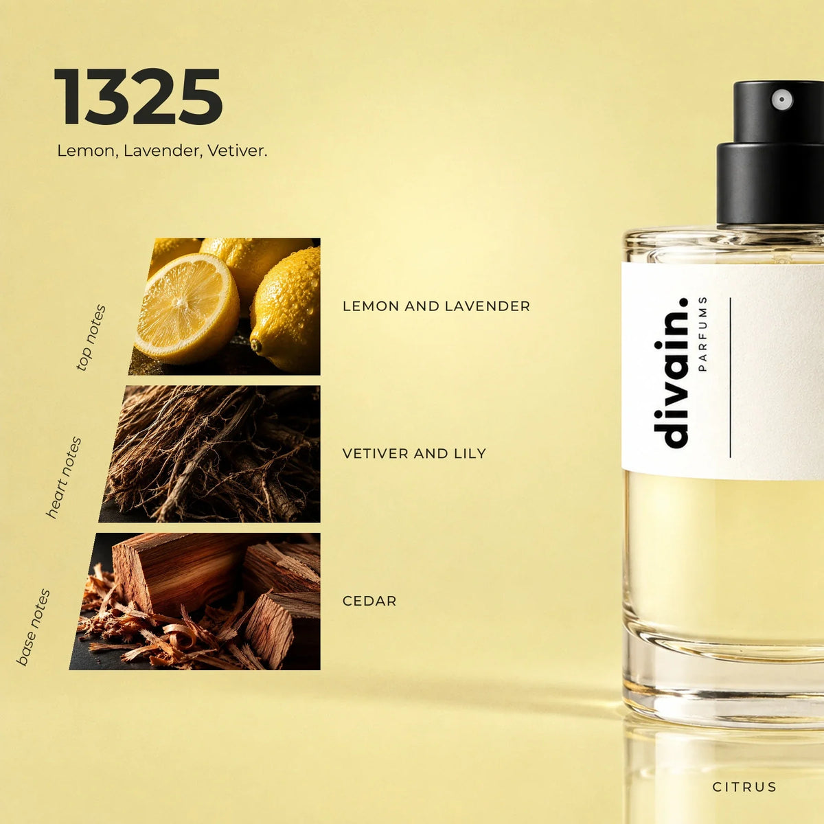 divain.1325 fragrance pyramid