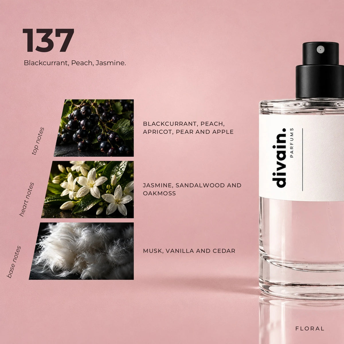 divain.137 fragrance pyramid
