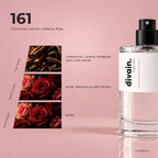 divain.161 fragrance pyramid