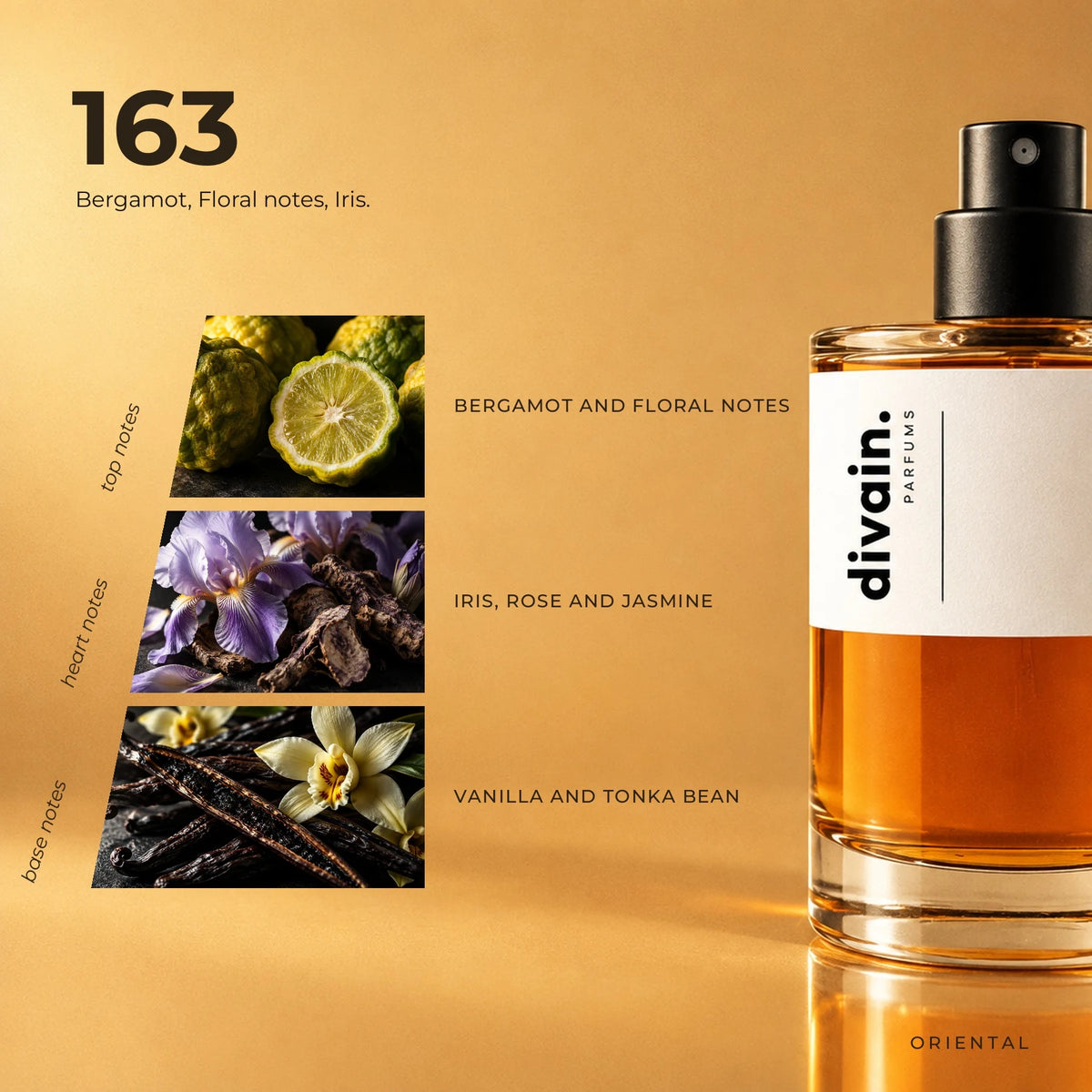 divain.163 fragrance pyramid
