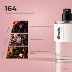 divain.164 fragrance pyramid