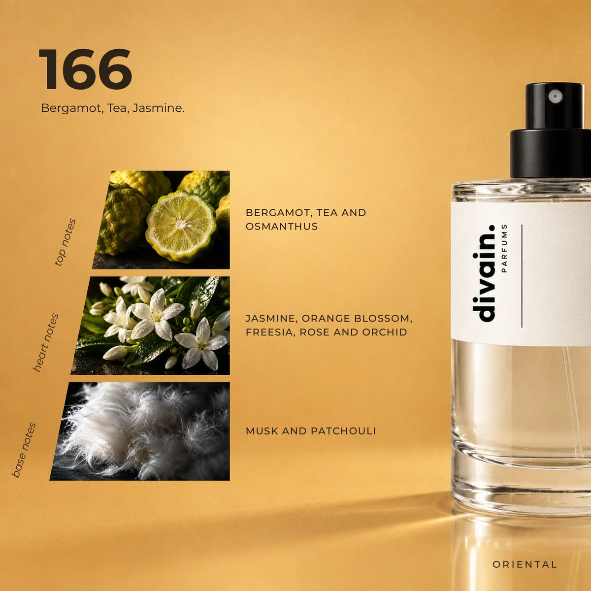 divain.166 fragrance pyramid