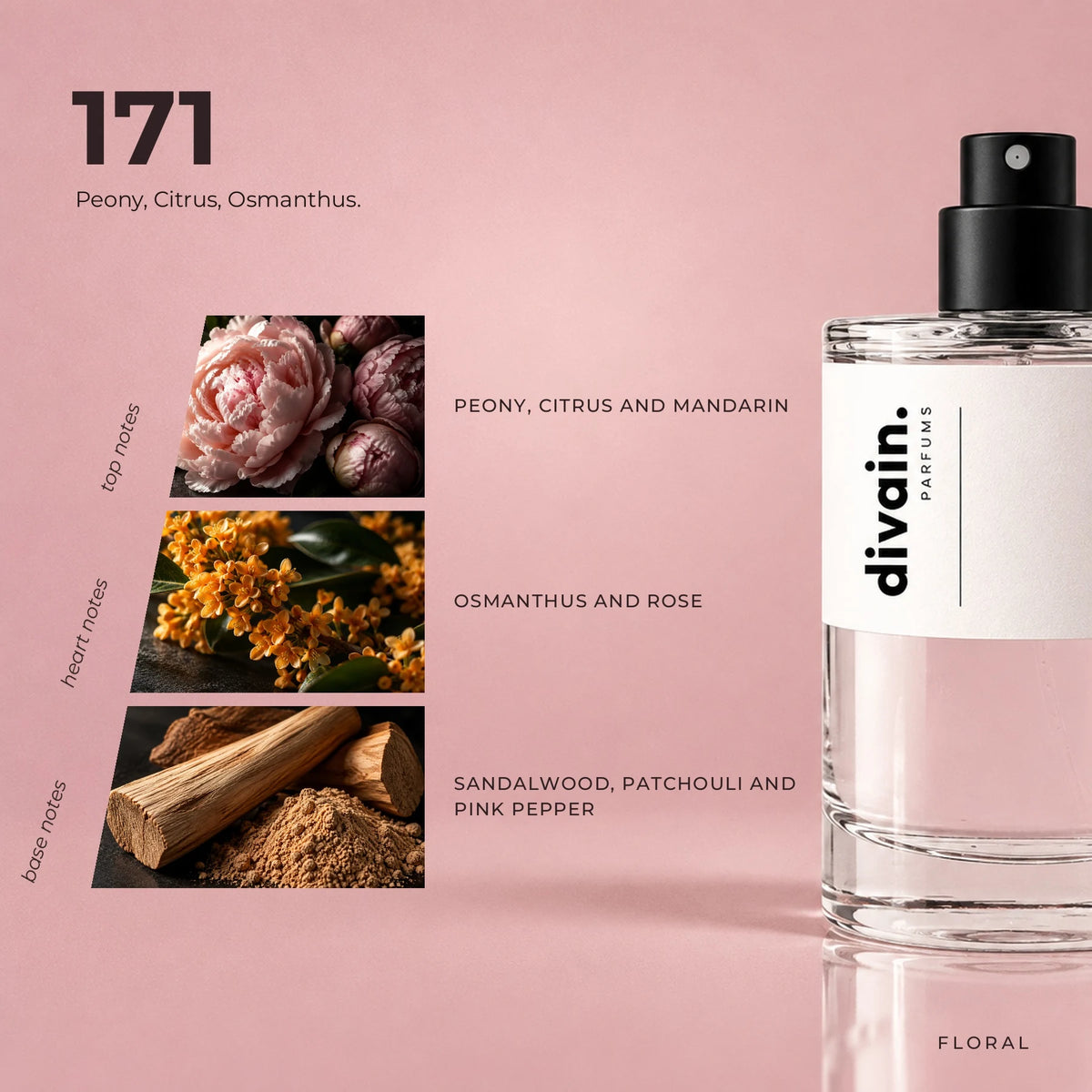 divain.171 fragrance pyramid
