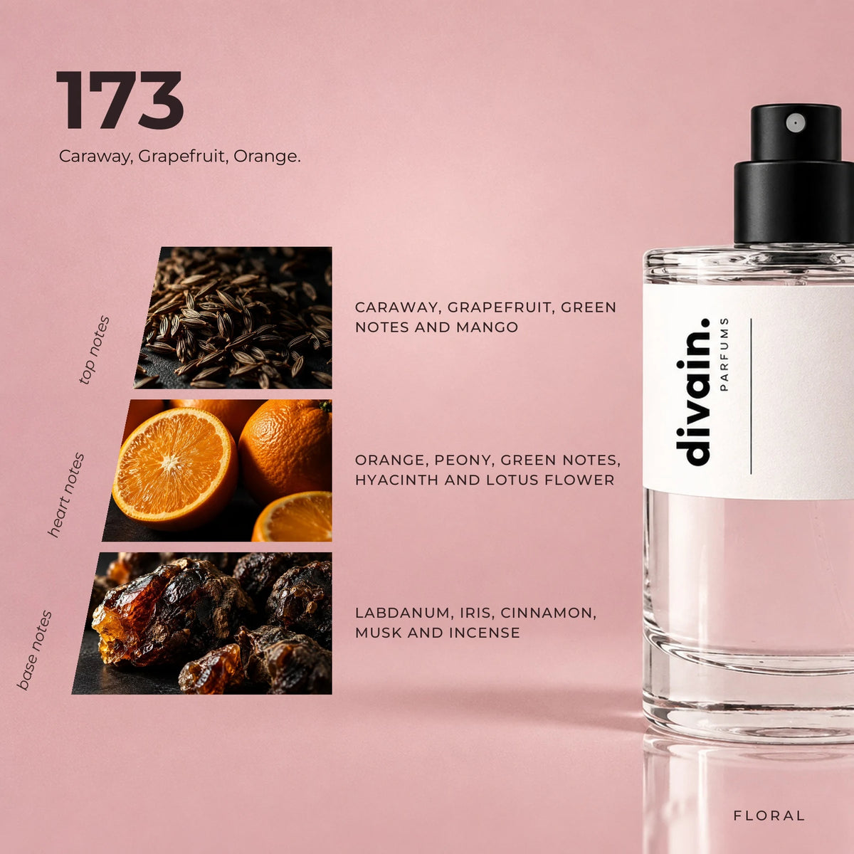 divain.173 fragrance pyramid