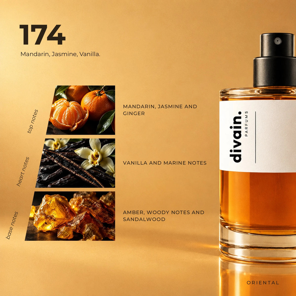 divain.174 fragrance pyramid