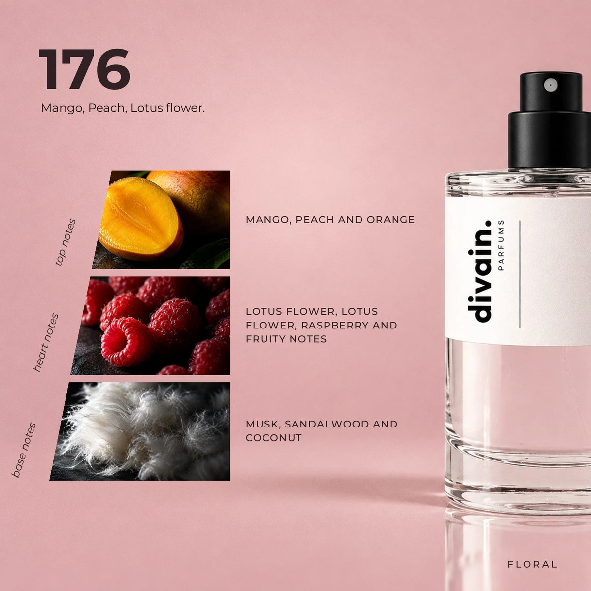 divain.176 fragrance pyramid