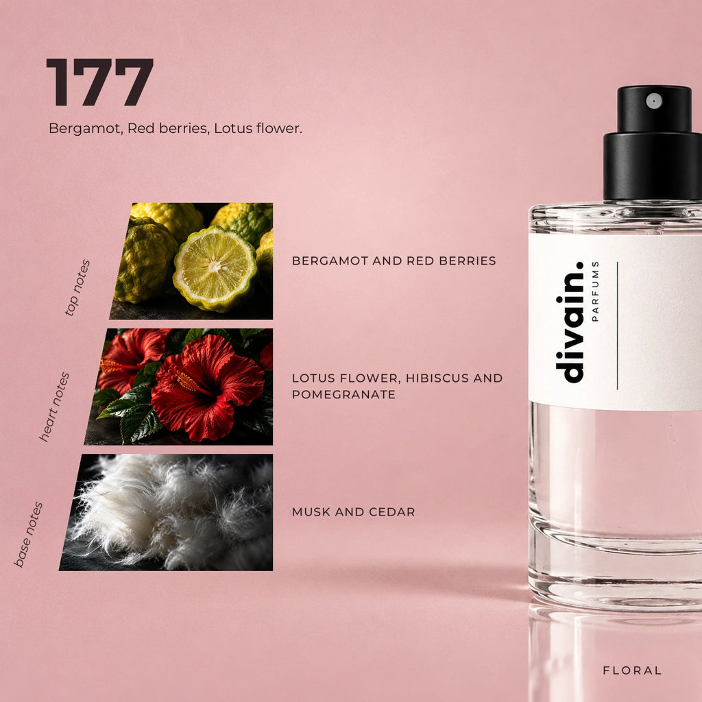 divain.177 fragrance pyramid