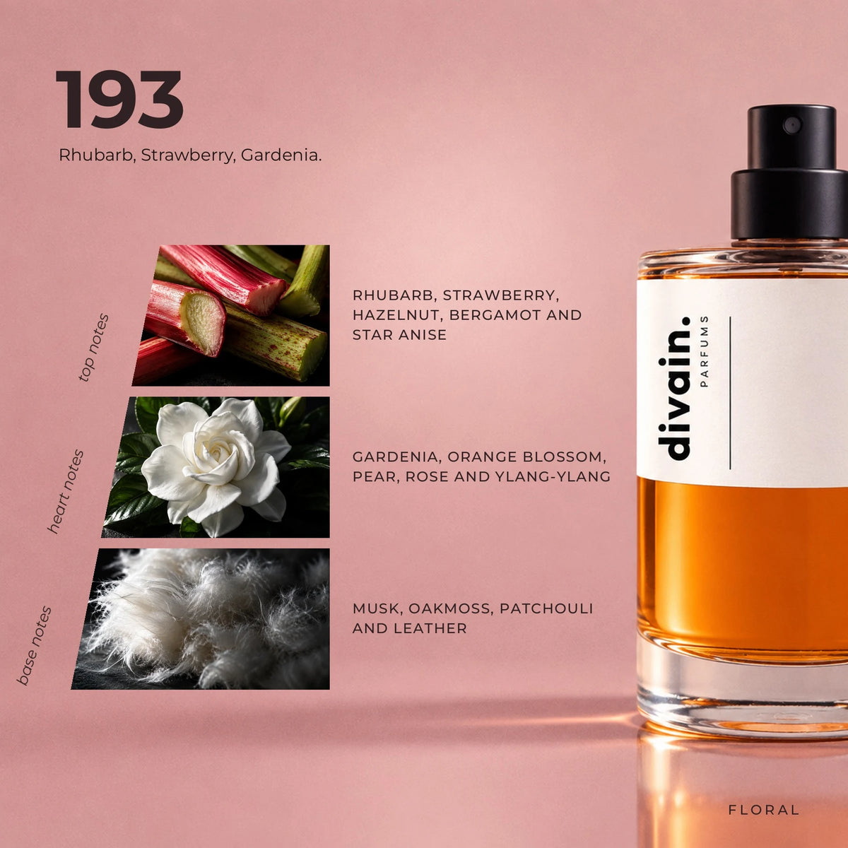 divain.193 fragrance pyramid