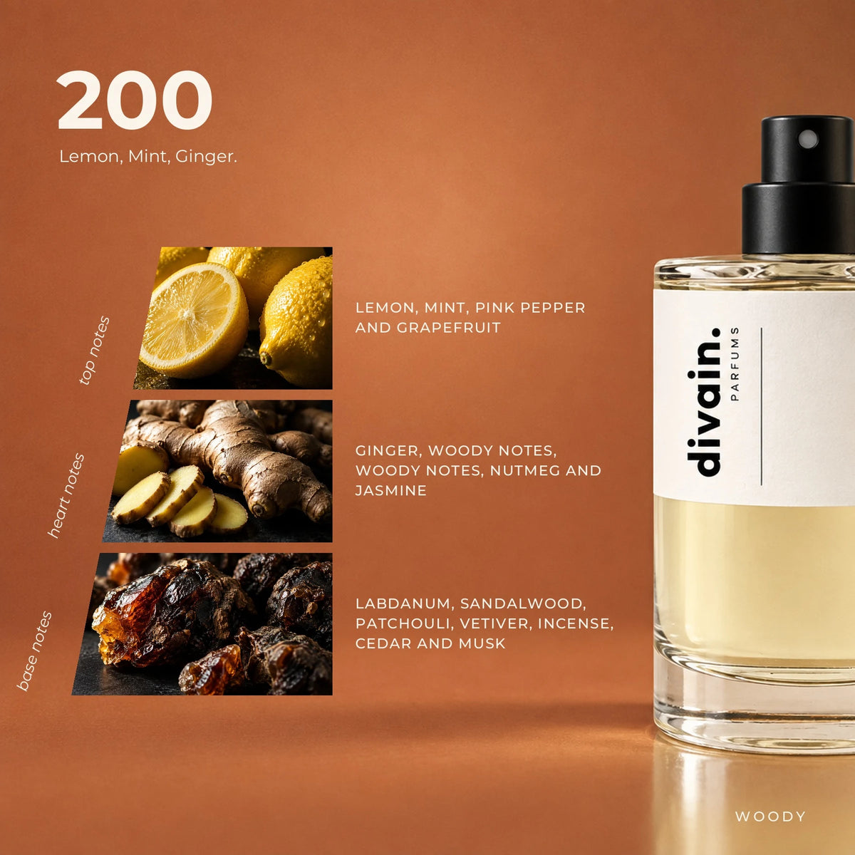 divain.200 fragrance pyramid