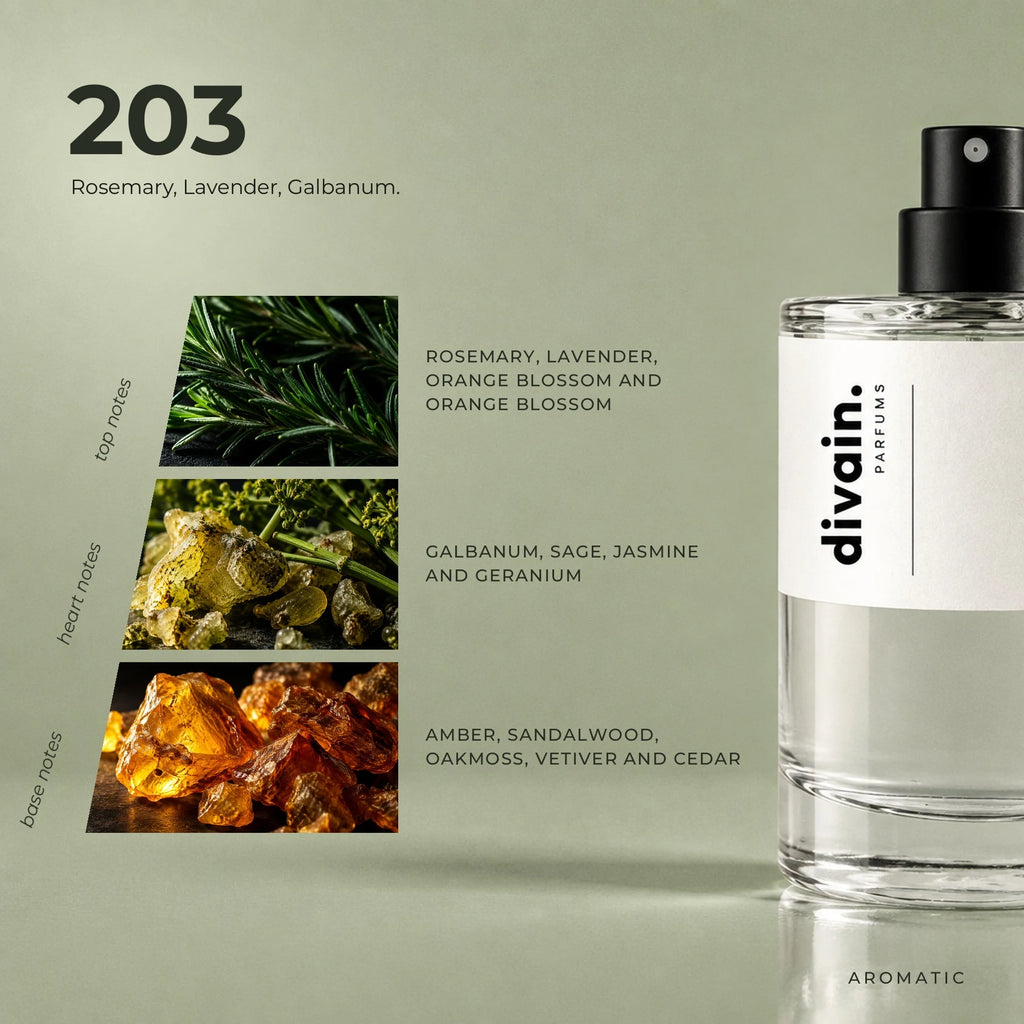 divain.203 fragrance pyramid