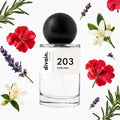 divain-203 notas