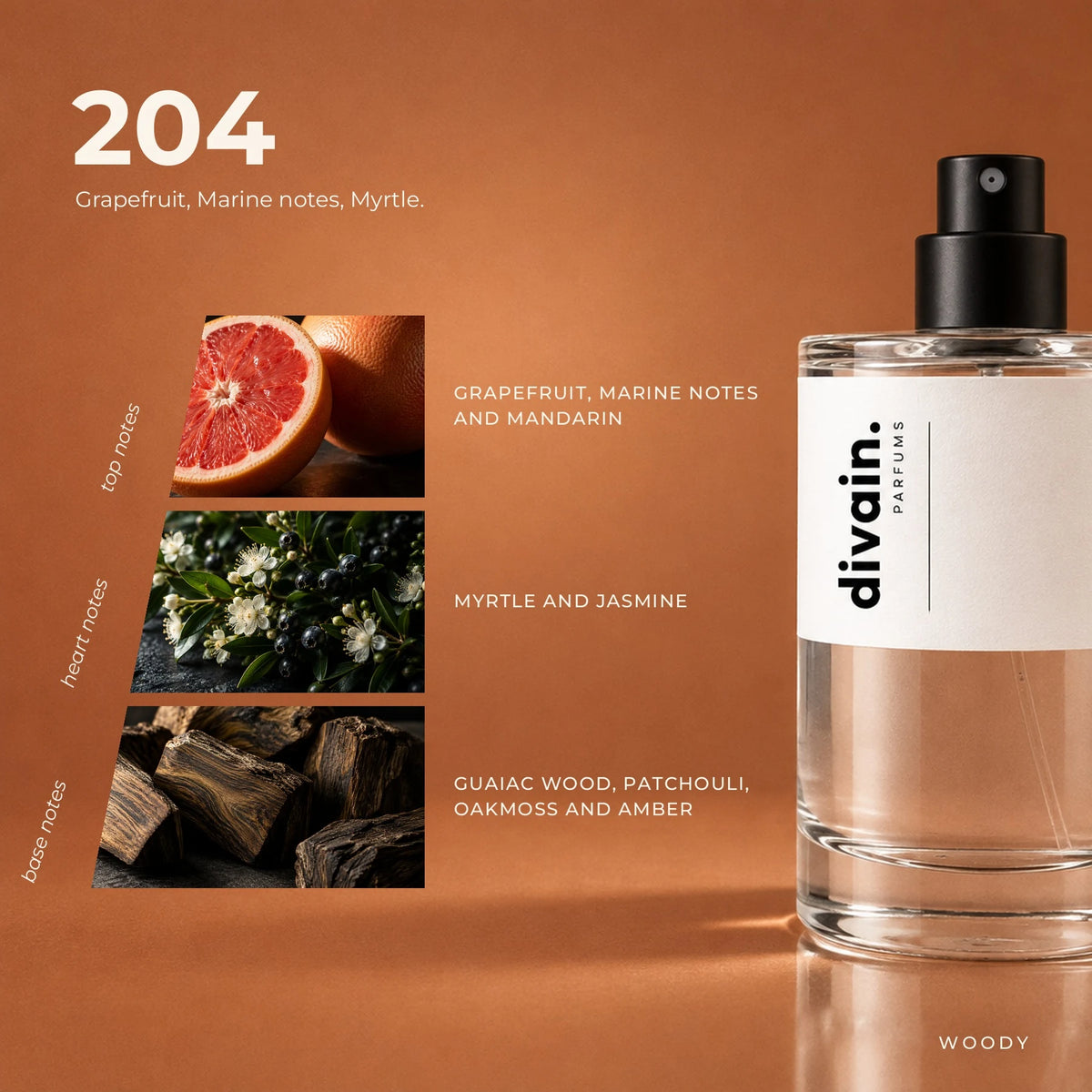 divain.204 fragrance pyramid