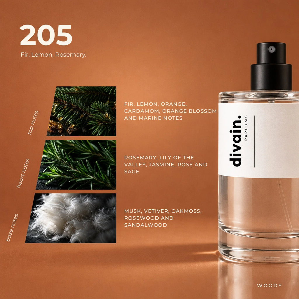 divain.205 fragrance pyramid