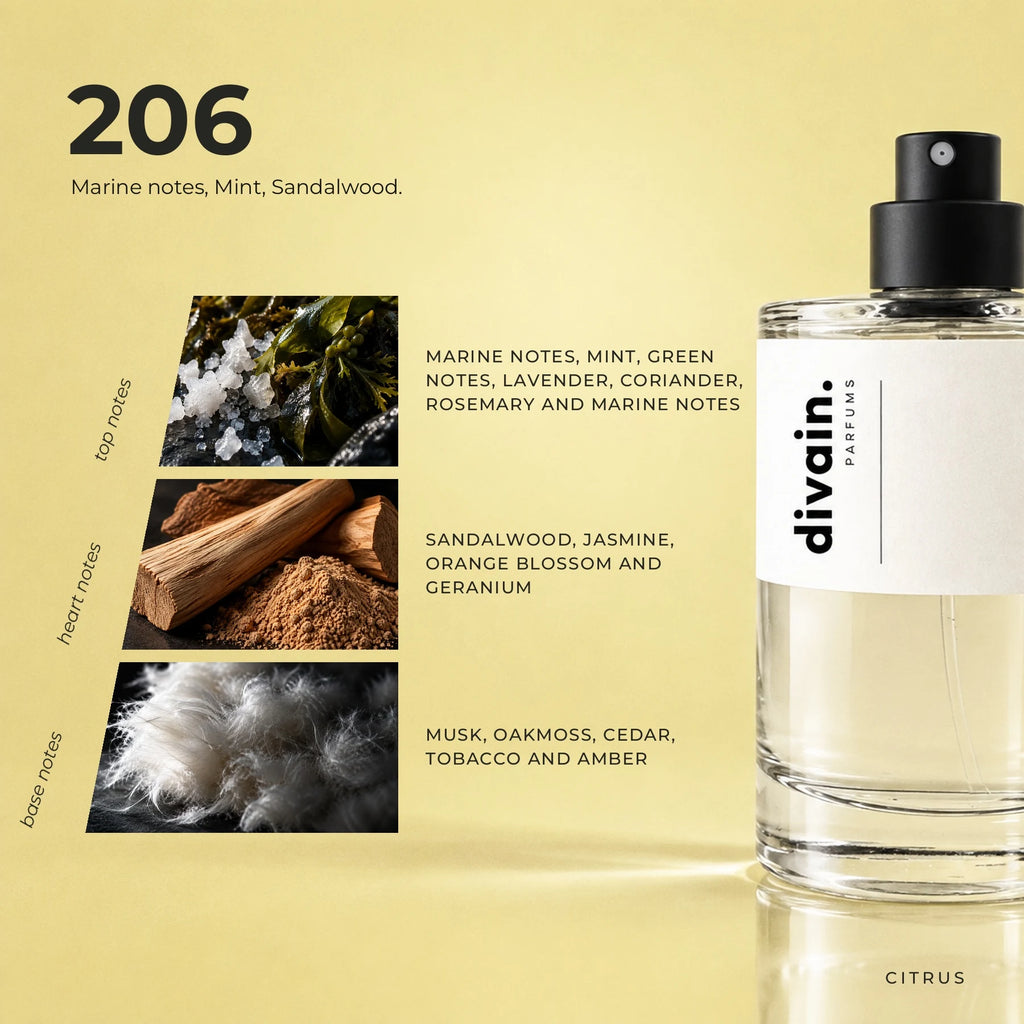 divain.206 fragrance pyramid