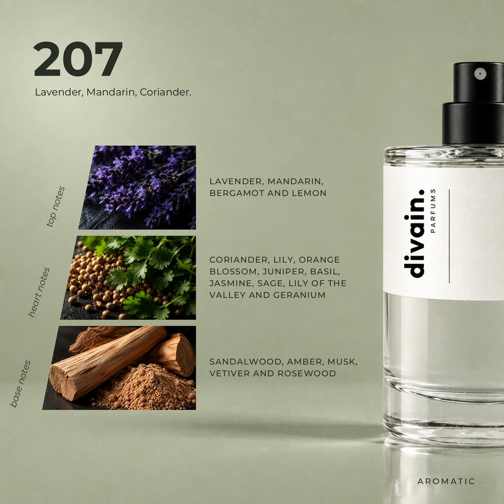 divain.207 fragrance pyramid