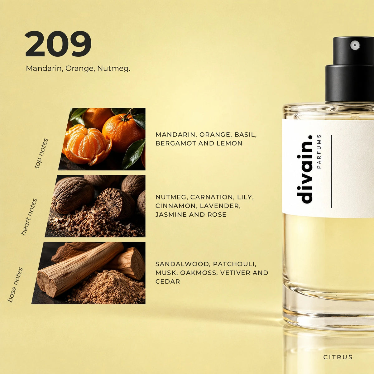 divain.209 fragrance pyramid