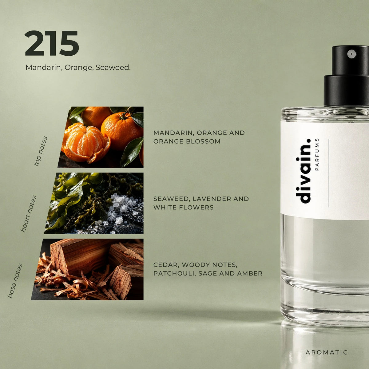 divain.215 fragrance pyramid