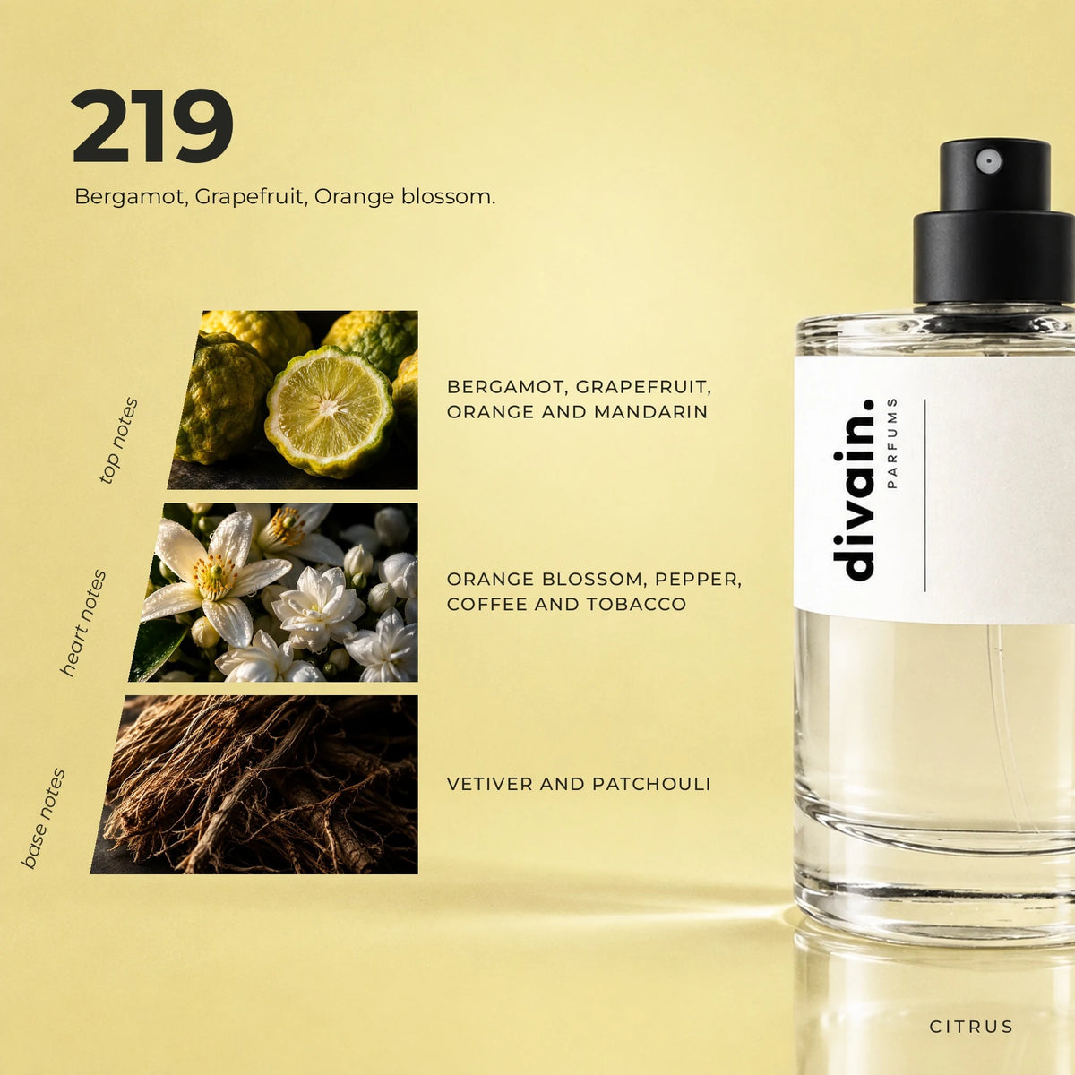 divain.219 fragrance pyramid
