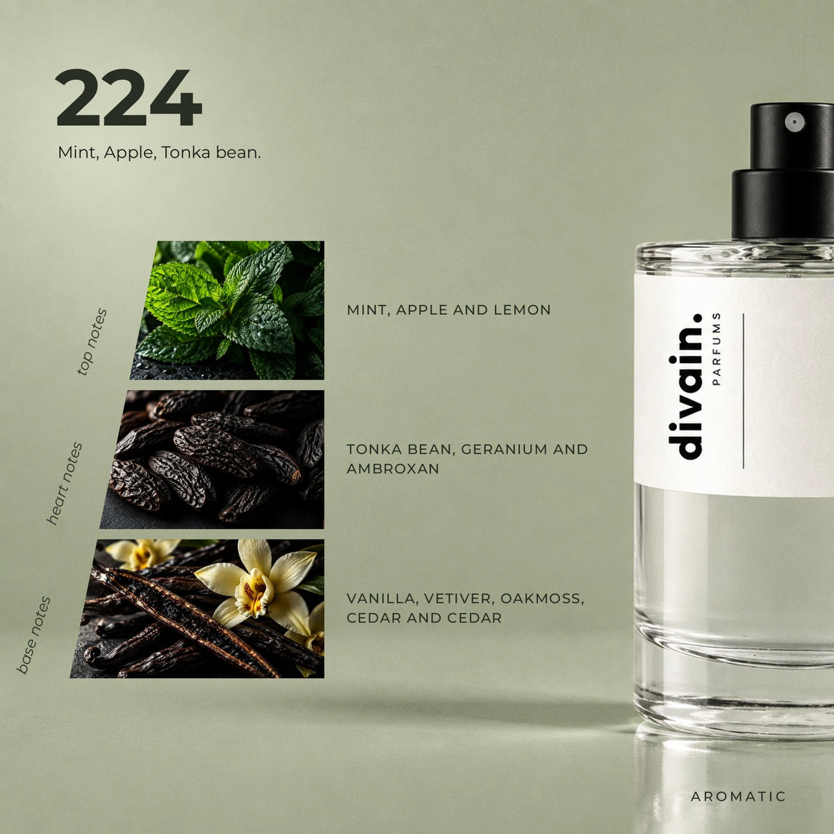 divain.224 fragrance pyramid