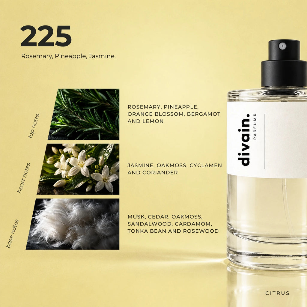 divain.225 fragrance pyramid