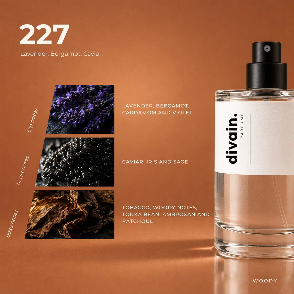 divain.227 fragrance pyramid
