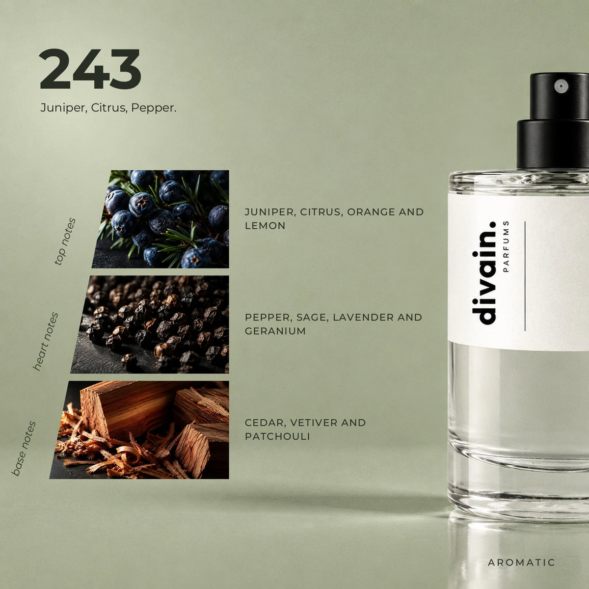 divain.243 fragrance pyramid