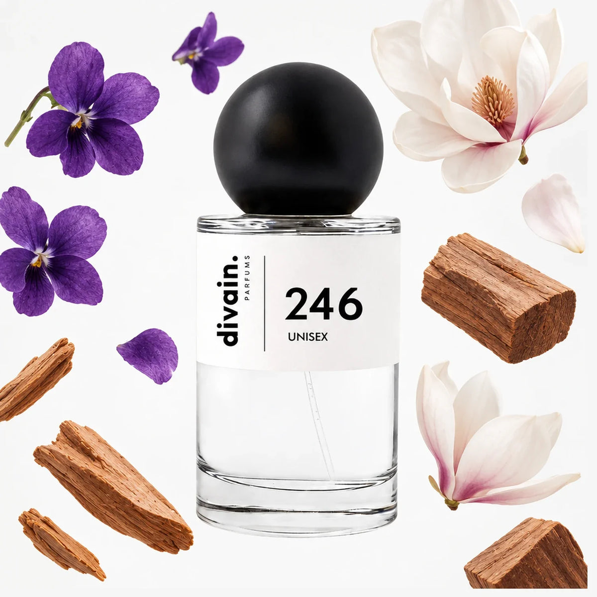 divain-246 notas
