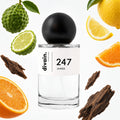 divain-247 notas