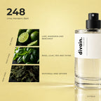 divain.248 fragrance pyramid