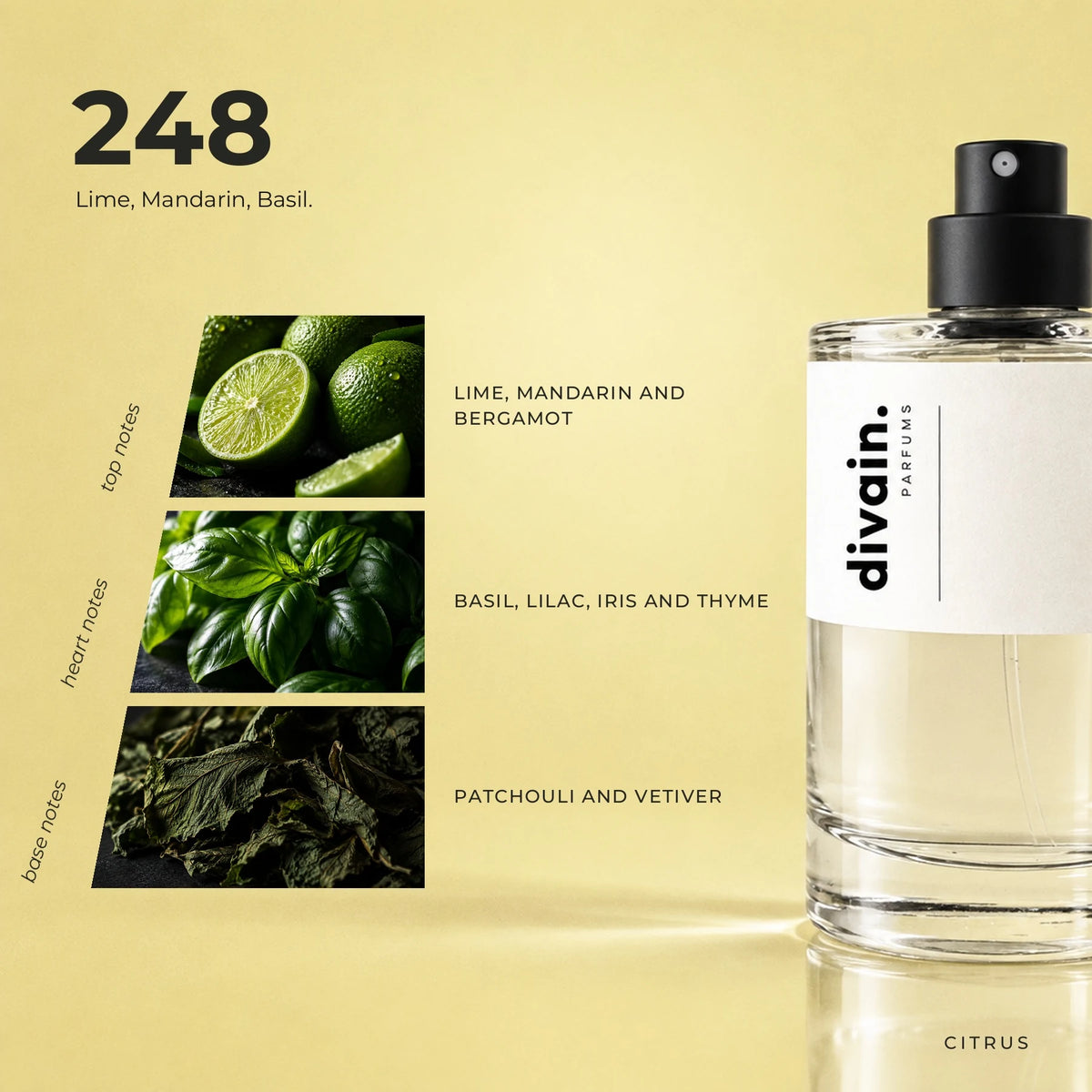 divain.248 fragrance pyramid