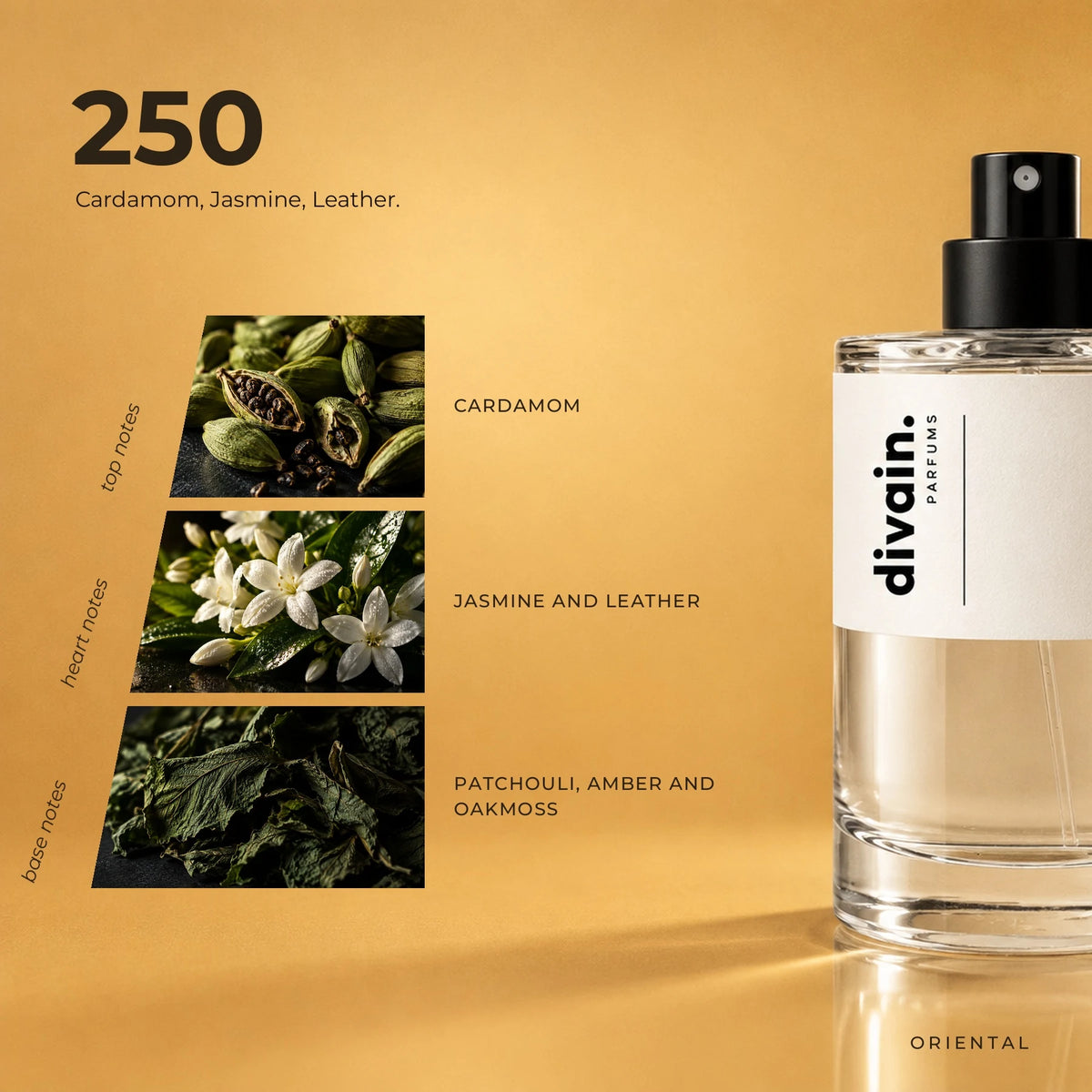 divain.250 fragrance pyramid