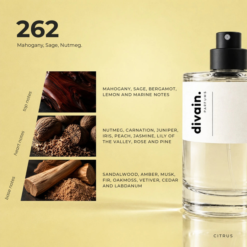 divain.262 fragrance pyramid