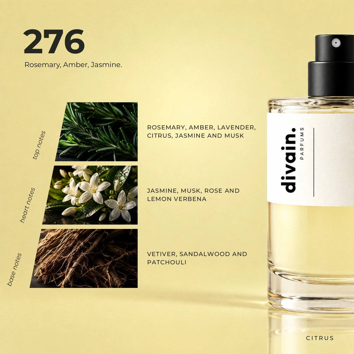 divain.276 fragrance pyramid
