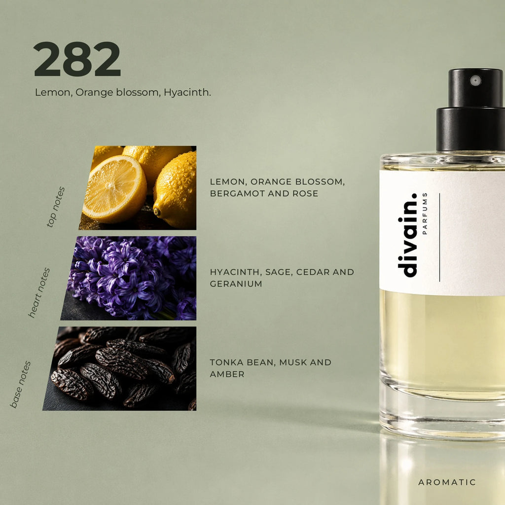 divain.282 fragrance pyramid