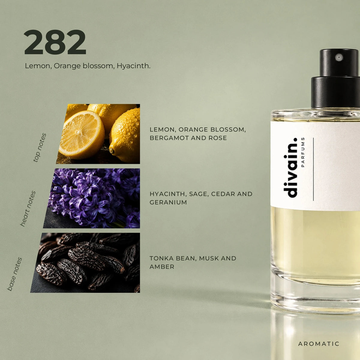 divain.282 fragrance pyramid