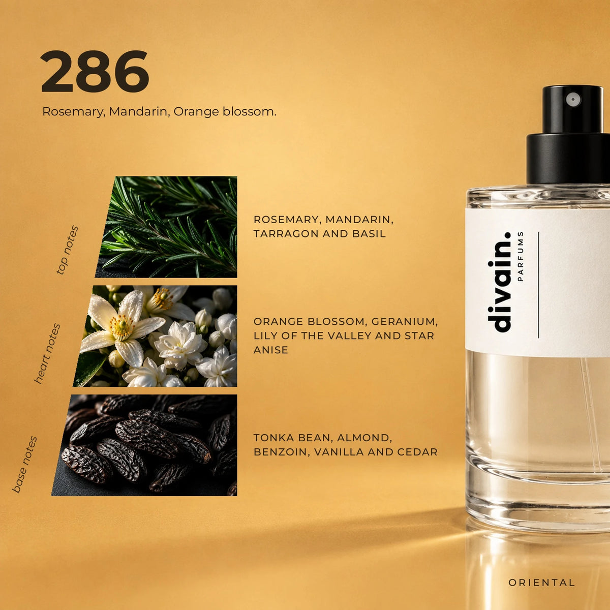 divain.286 fragrance pyramid
