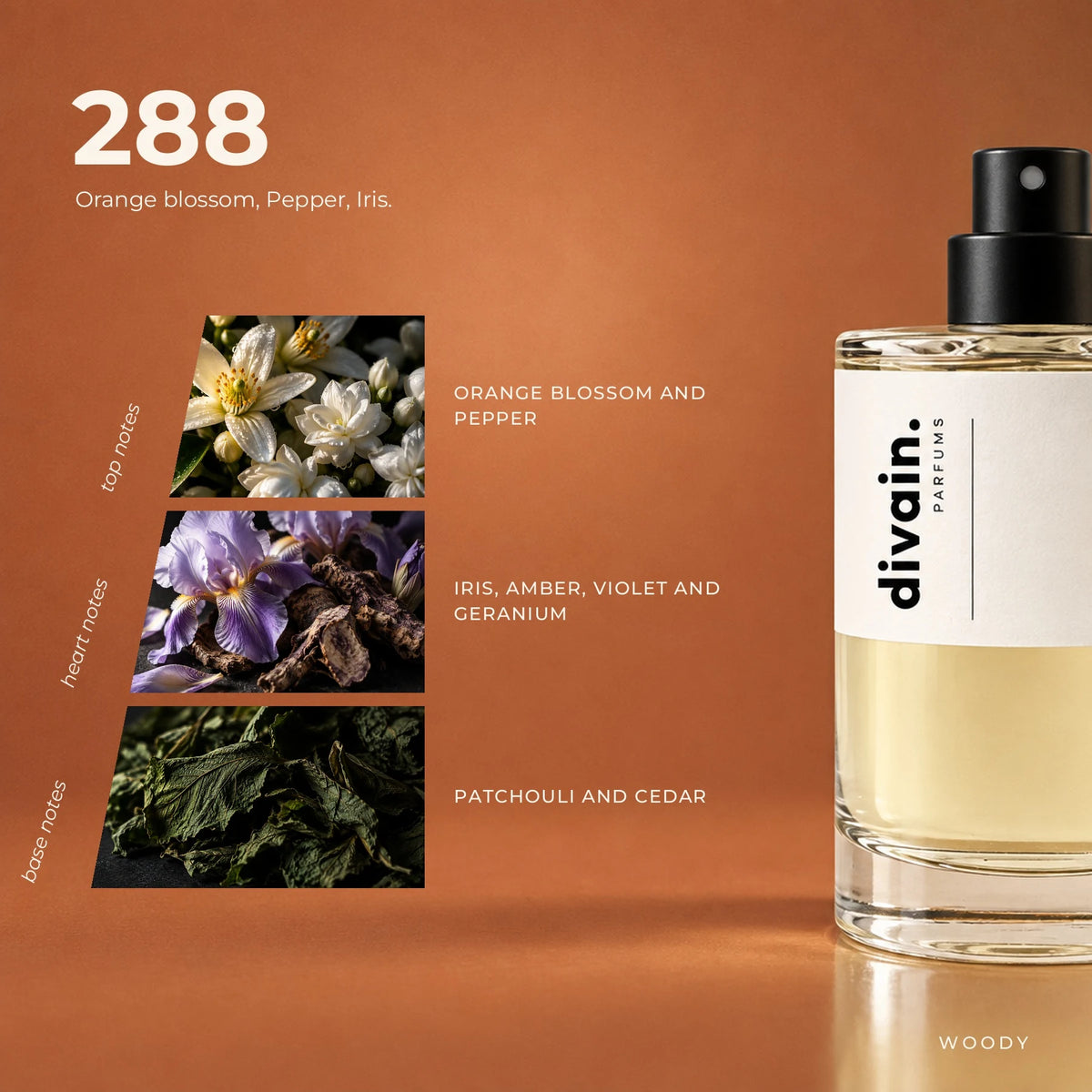 divain.288 fragrance pyramid