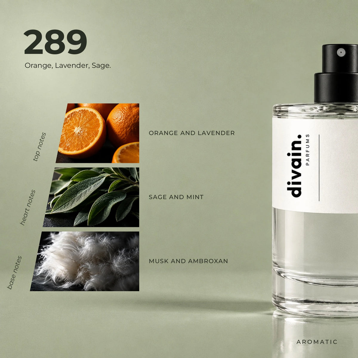 divain.289 fragrance pyramid