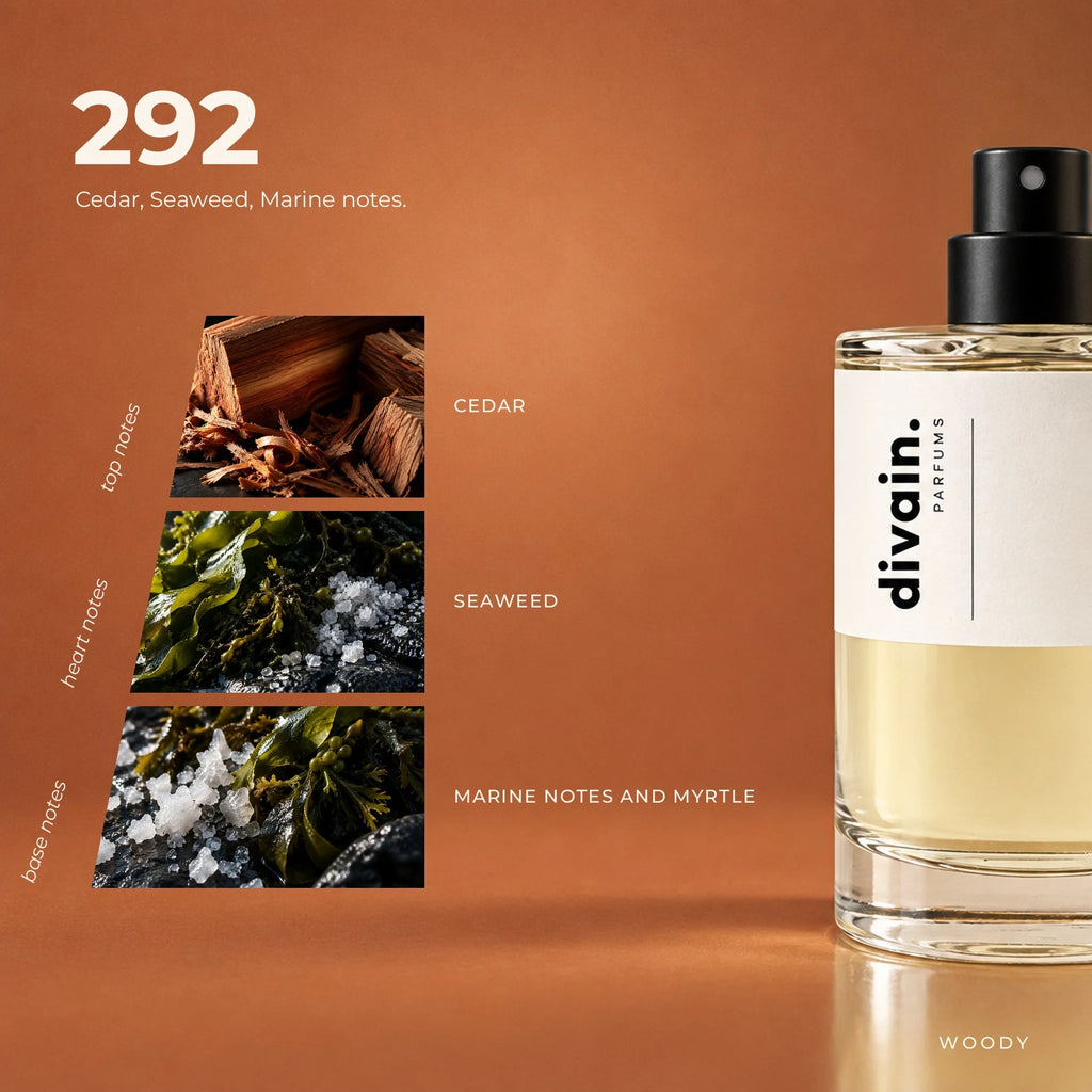 divain.292 fragrance pyramid