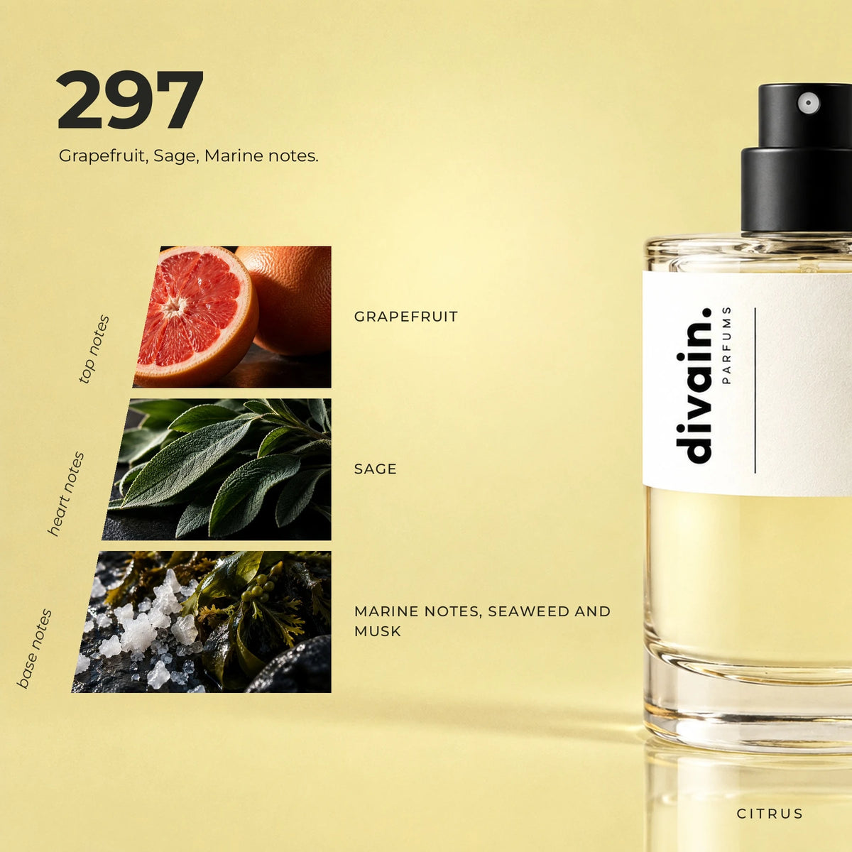 divain.297 fragrance pyramid