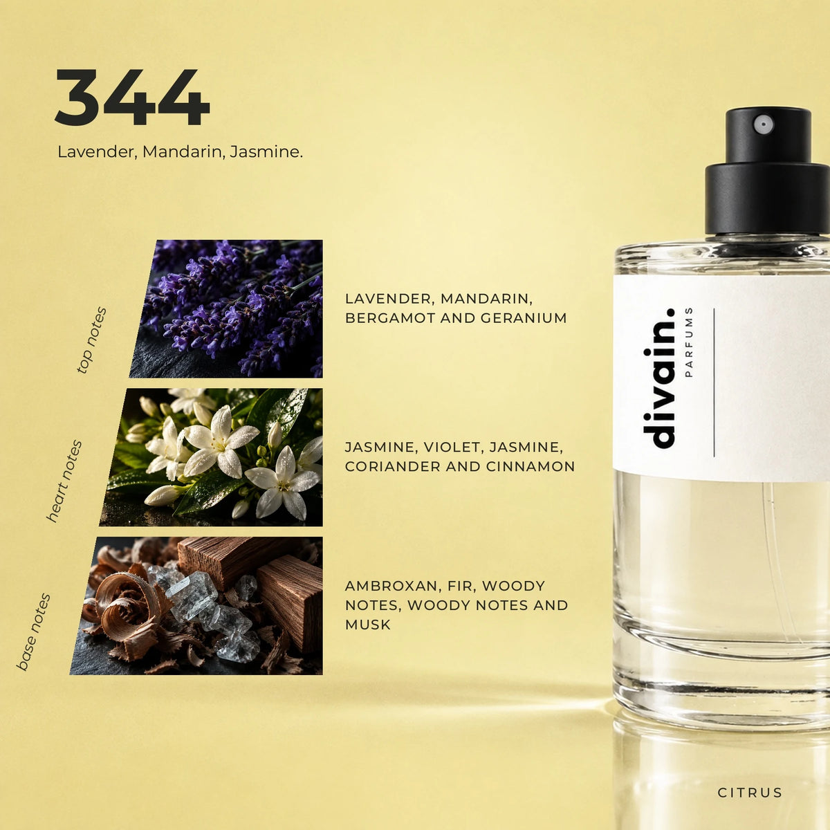 divain.344 fragrance pyramid