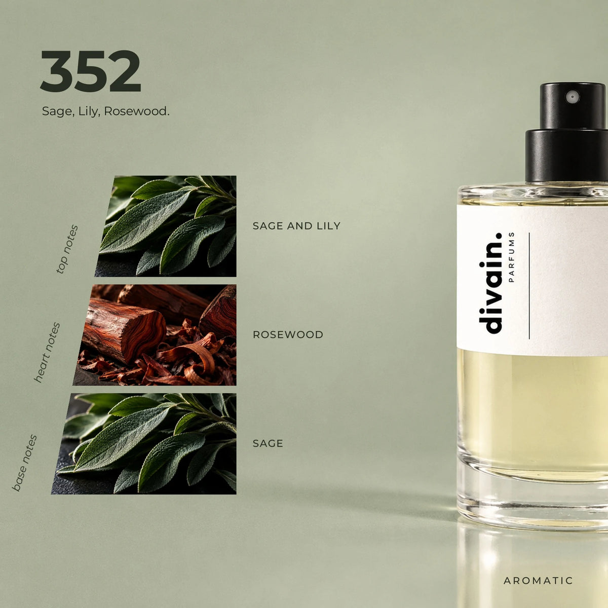 divain.352 fragrance pyramid