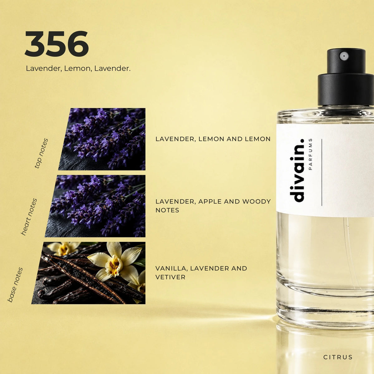 divain.356 fragrance pyramid