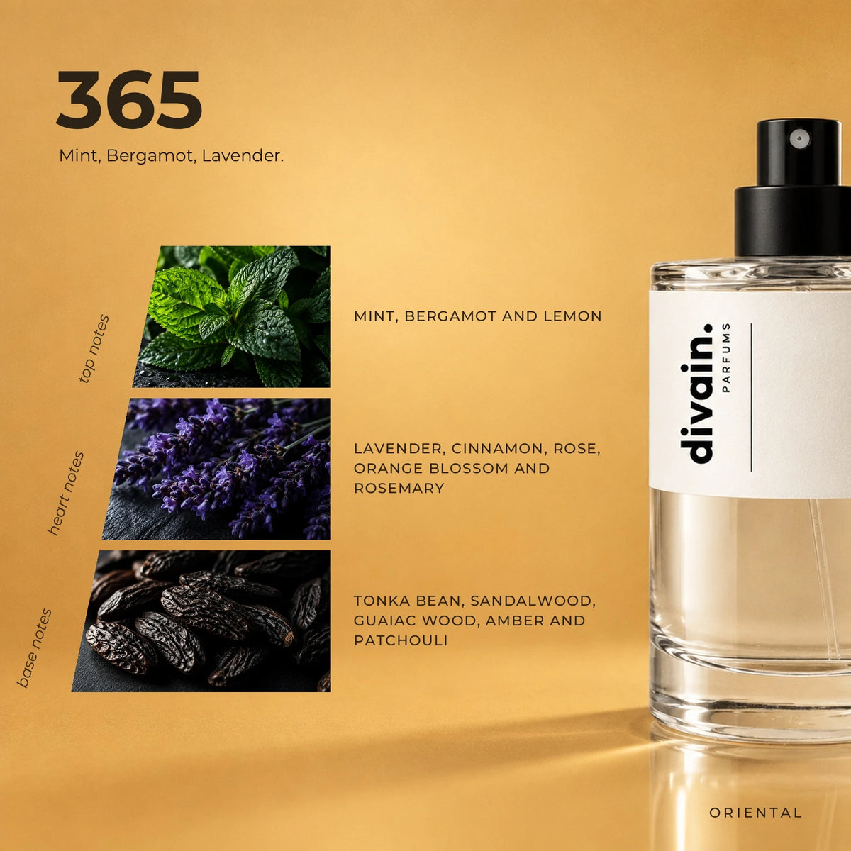 divain.365 fragrance pyramid