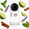 divain-365 notas