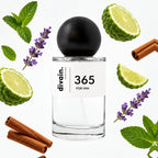 divain-365 notas