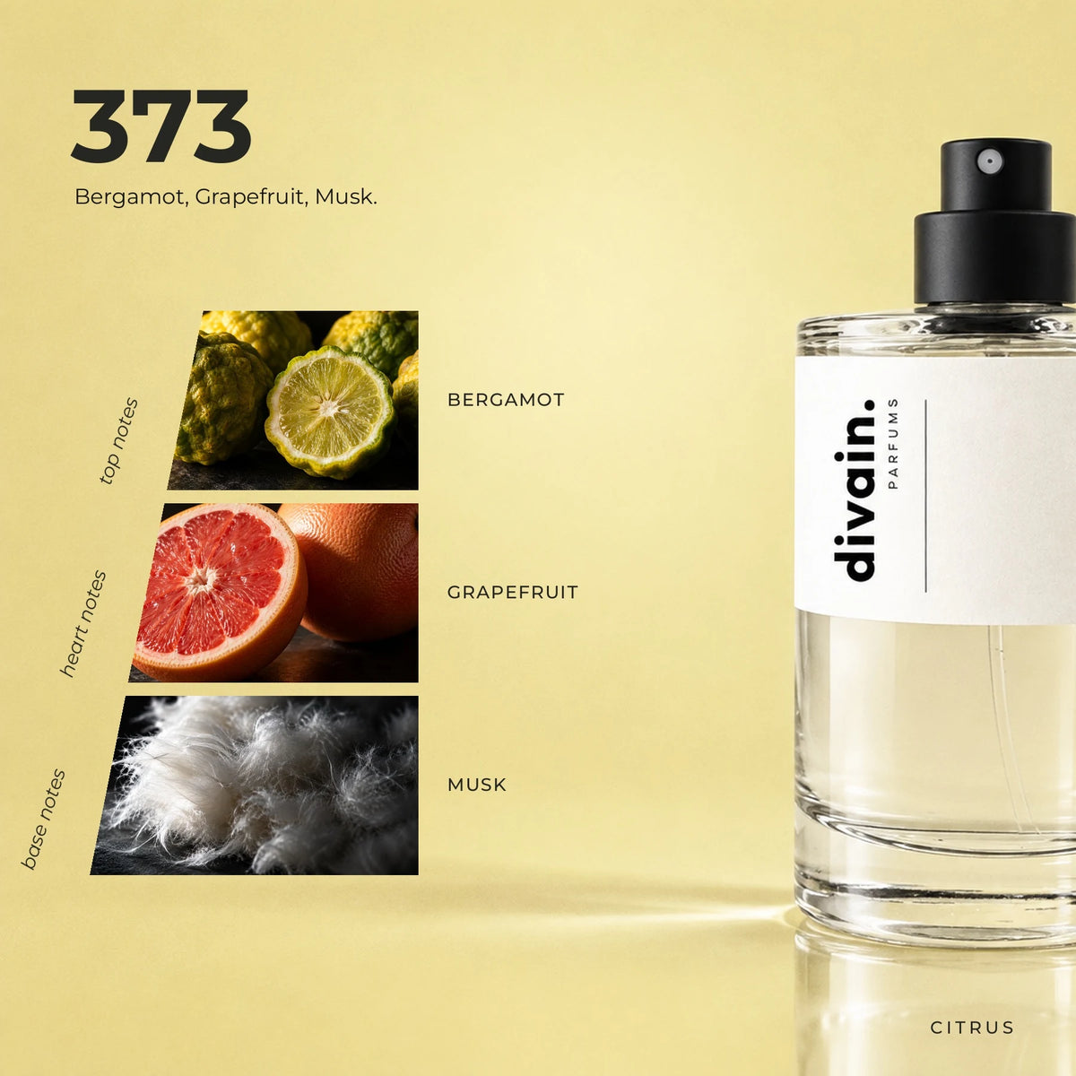 divain.373 fragrance pyramid