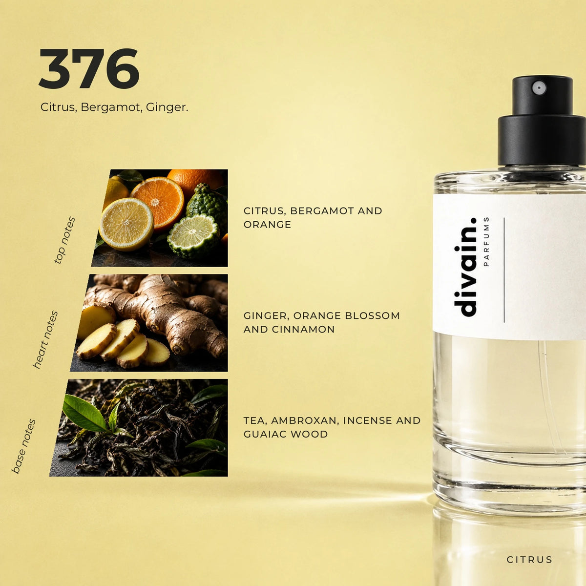 divain.376 fragrance pyramid