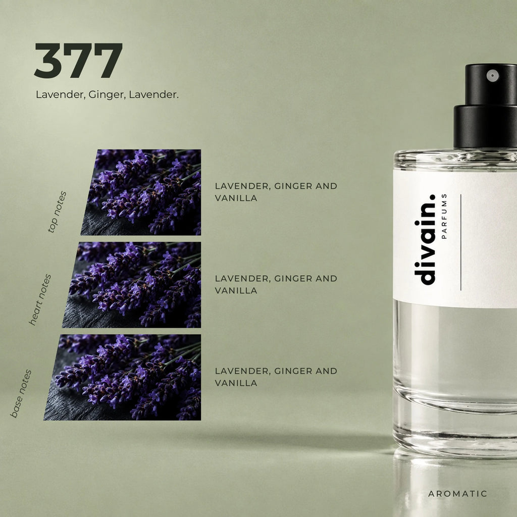 divain.377 fragrance pyramid